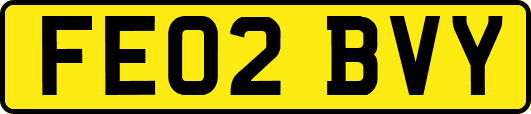 FE02BVY