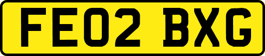 FE02BXG