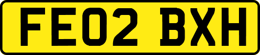 FE02BXH