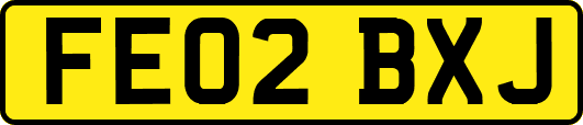 FE02BXJ