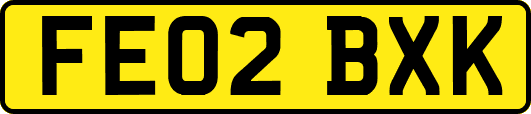 FE02BXK