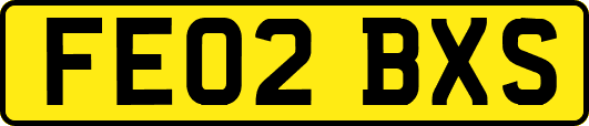 FE02BXS