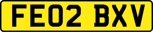 FE02BXV