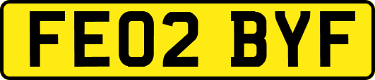 FE02BYF