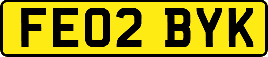 FE02BYK