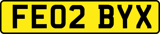 FE02BYX