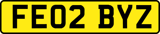 FE02BYZ