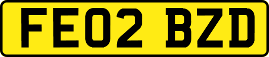 FE02BZD