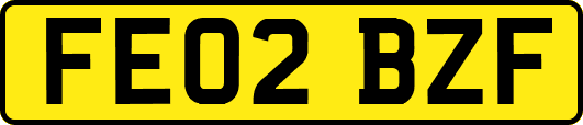 FE02BZF