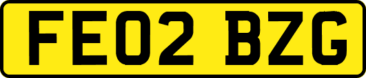 FE02BZG