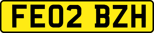 FE02BZH