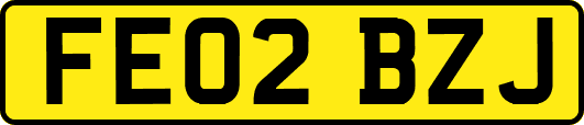 FE02BZJ