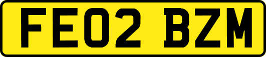 FE02BZM