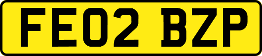 FE02BZP