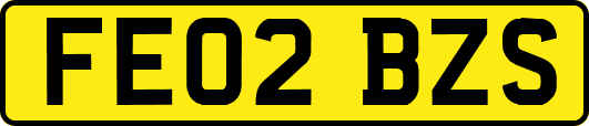 FE02BZS