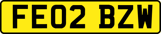 FE02BZW