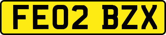 FE02BZX