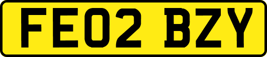 FE02BZY
