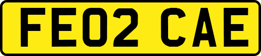 FE02CAE