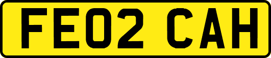 FE02CAH