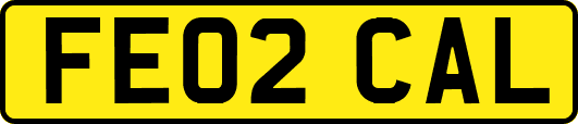 FE02CAL