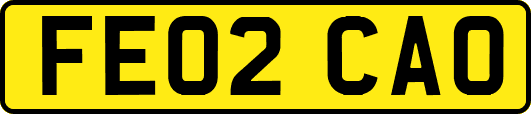FE02CAO