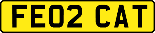 FE02CAT