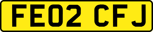 FE02CFJ