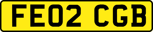 FE02CGB