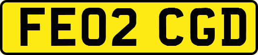 FE02CGD