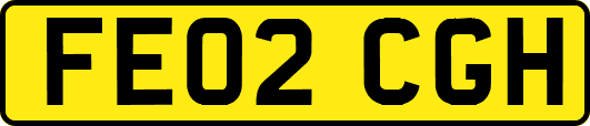 FE02CGH