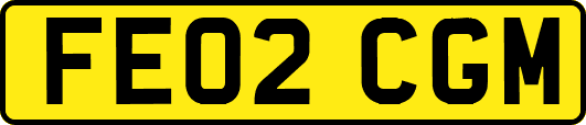 FE02CGM