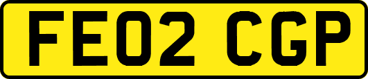 FE02CGP