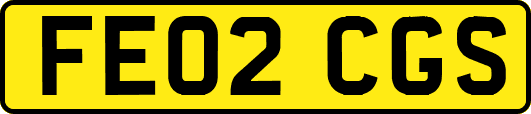 FE02CGS