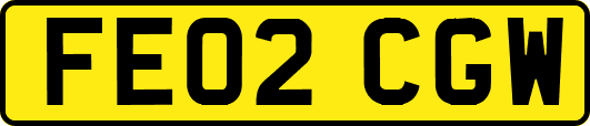 FE02CGW