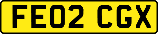 FE02CGX