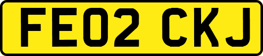 FE02CKJ