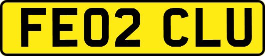 FE02CLU
