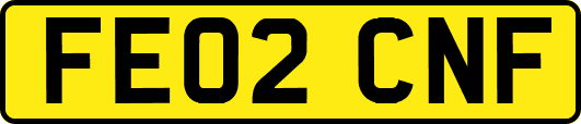 FE02CNF