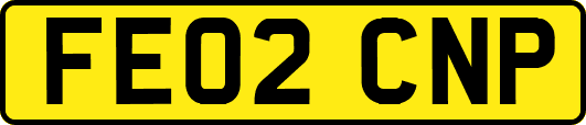 FE02CNP