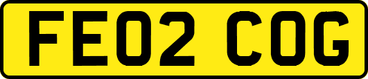 FE02COG
