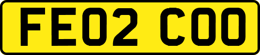 FE02COO