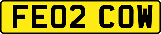 FE02COW