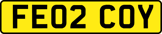 FE02COY
