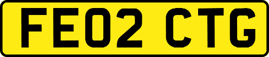 FE02CTG
