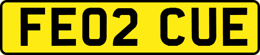 FE02CUE