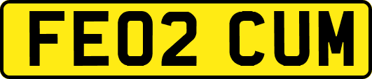 FE02CUM