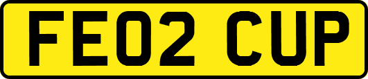 FE02CUP