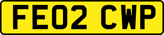 FE02CWP