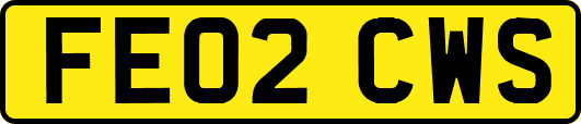 FE02CWS